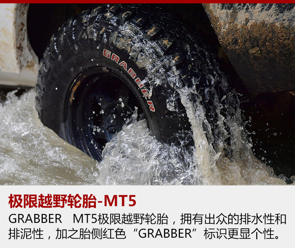 “陆上鲨鱼皮”问世(图1)