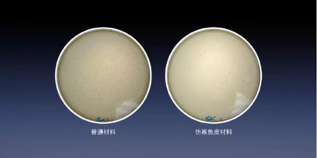 鲨鱼皮仿生结构的应用PPT(图1)