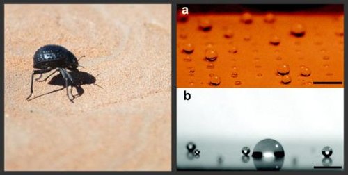火爆的AI数据中心液冷核心硬件制造工艺技术与材料梳理建议收藏！(图1)