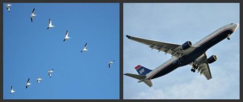 三亿体育机器人大讲堂(图1)